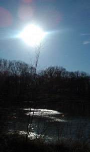 Sun Picture from Arboretum
