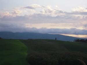 Green Fields and Lone Cypress from Podere Cunina, Buonconvento