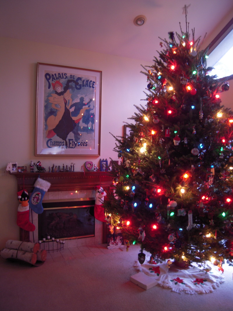 The Holiday Spectrum - Joy and Stress - Purposed Lives