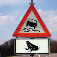 Frog Crossing Sign