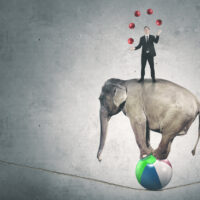 Juggling-on-elephant-on-ball-on-tightrope